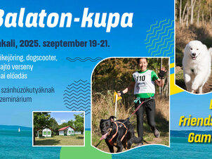 4. Balaton-kupa és kutyás sport hétvége