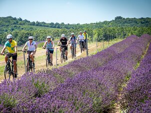 BBT vezetett eBike túra: A nagy levendula-kör (szervező: TihanySport Special) 