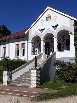 Afrika Múzeum