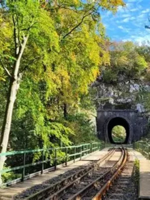 Bakony | Csókakő - Cuha-szurdok