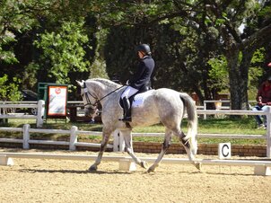 Imre Magyar Memorial Dressage Competition 2025/2