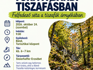 Hike in the Yew Forest