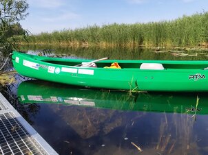 Canoeing on Kis-Balaton to the Fekete István Memorial Site